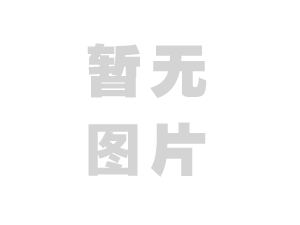 博銳公司2025年度3月環(huán)境與安全信息公示稿（公司網(wǎng)站）.pdf